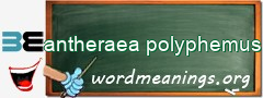 WordMeaning blackboard for antheraea polyphemus